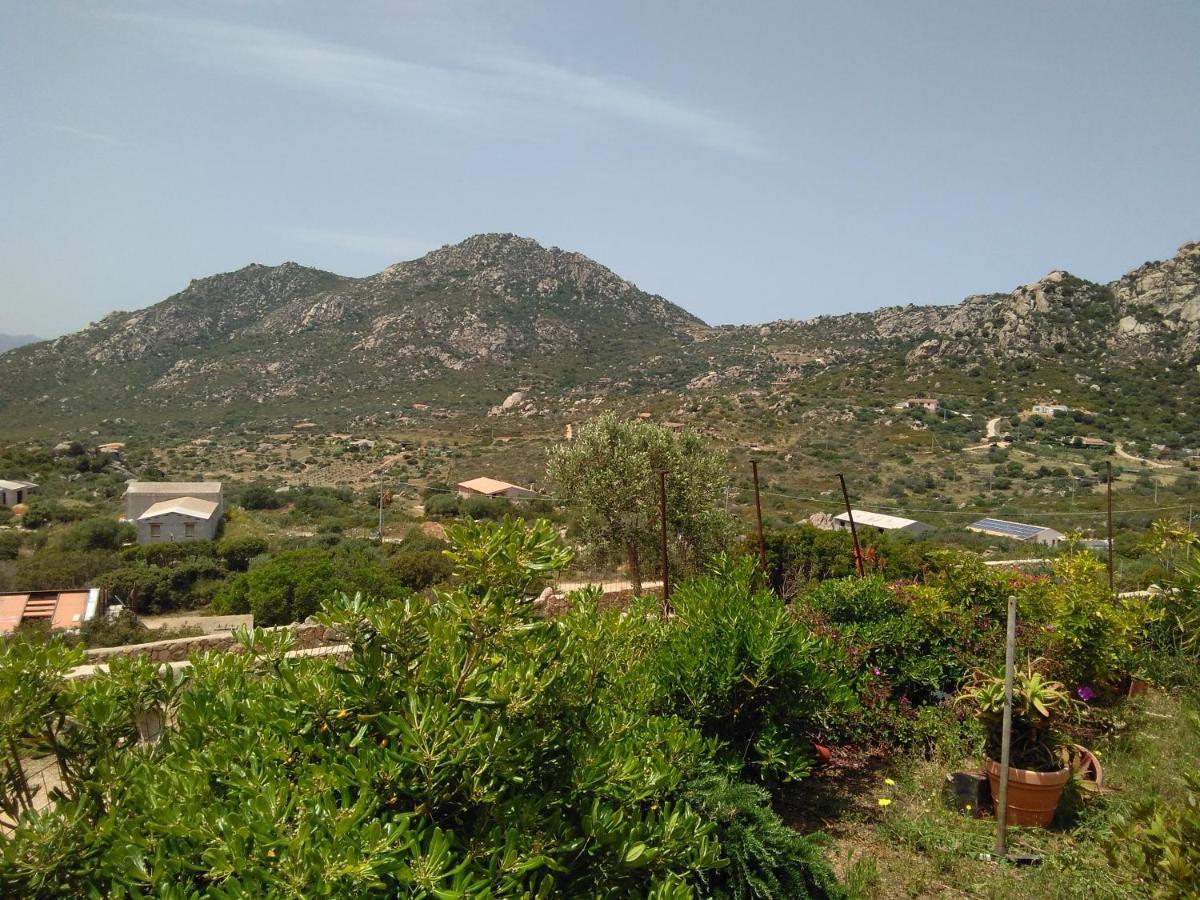Villetta Osseddu Όλμπια Εξωτερικό φωτογραφία