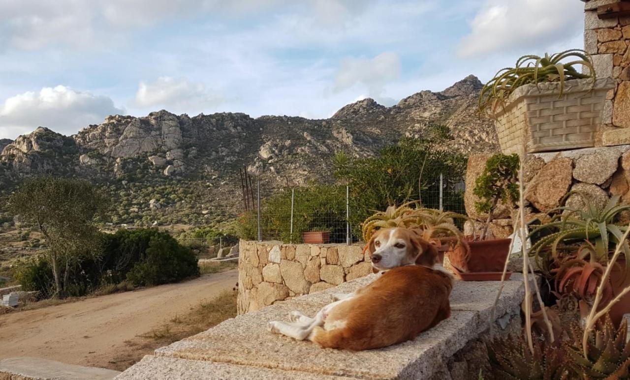 Villetta Osseddu Όλμπια Εξωτερικό φωτογραφία